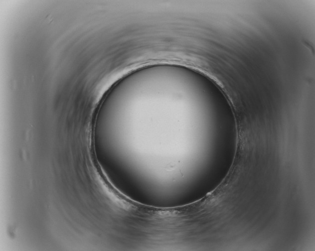 X0000103311523200809051533