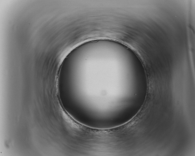 X0000103311524200809051533