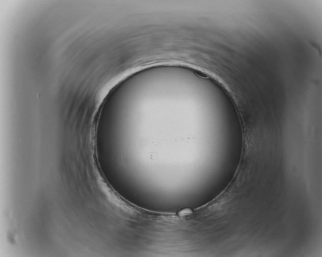 X0000103311526200809051533