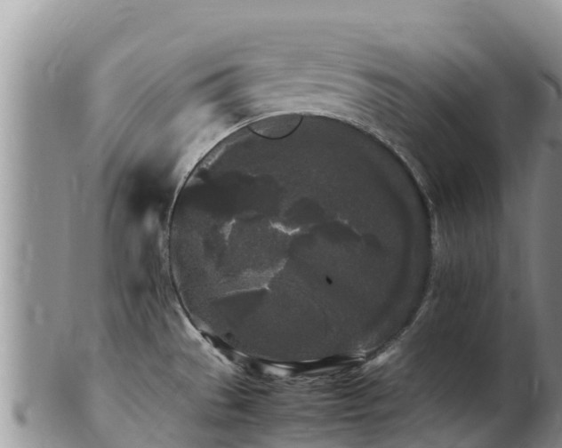 X0000103311529200809051534