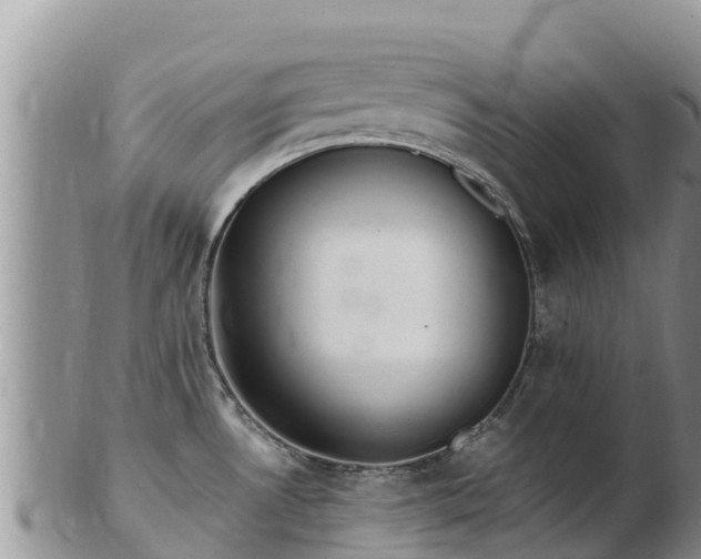 X0000103311530200809051534