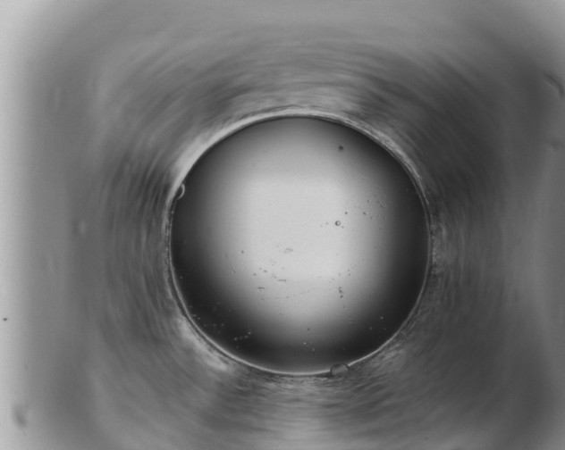 X0000103311532200809051534