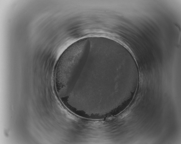 X0000103311533200809051534