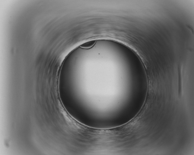 X0000103311534200809051534