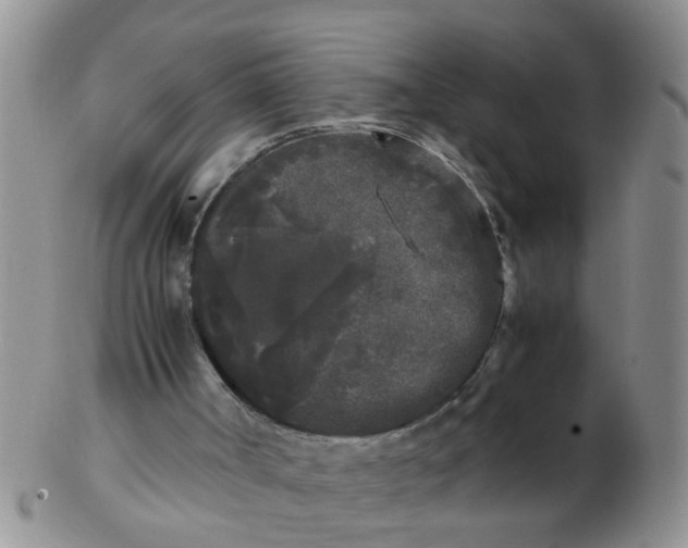 X0000103310002200809122102