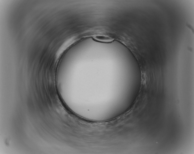 X0000103310004200809122102