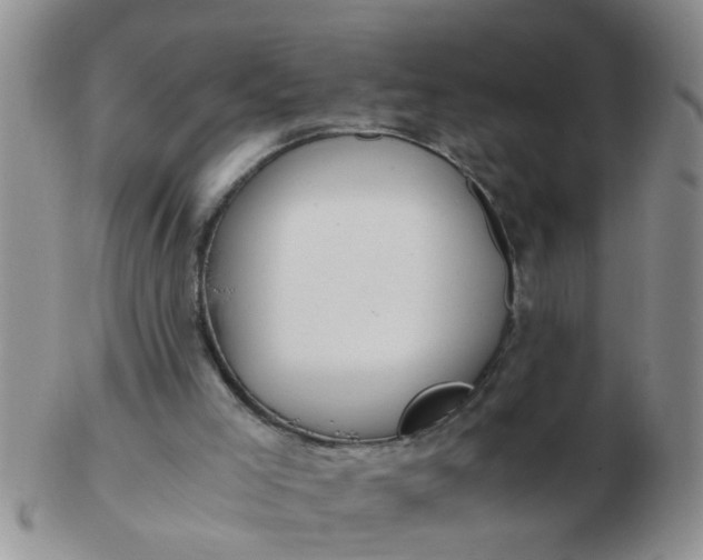 X0000103310005200809122102