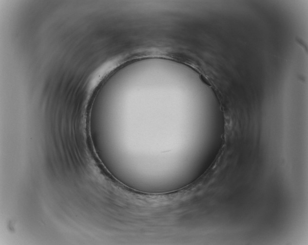 X0000103310006200809122102