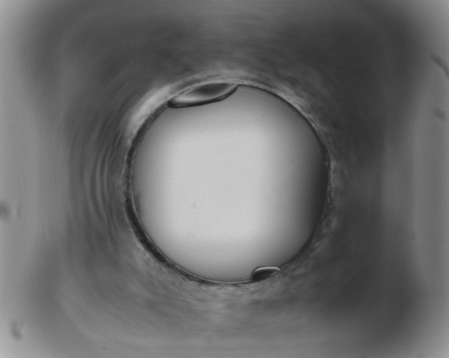 X0000103310007200809122102