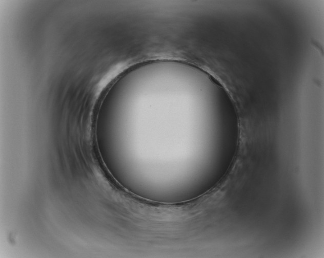 X0000103310008200809122102