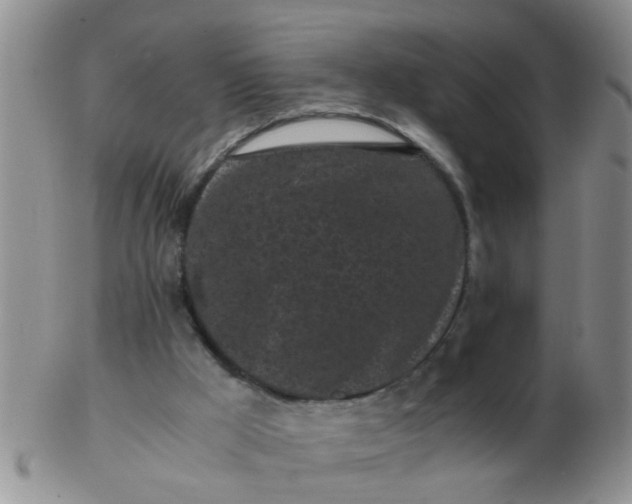 X0000103310009200809122102