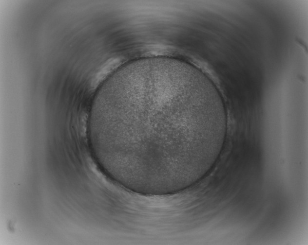X0000103310010200809122102
