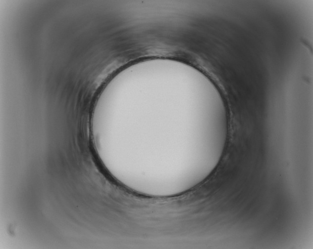 X0000103310011200809122102