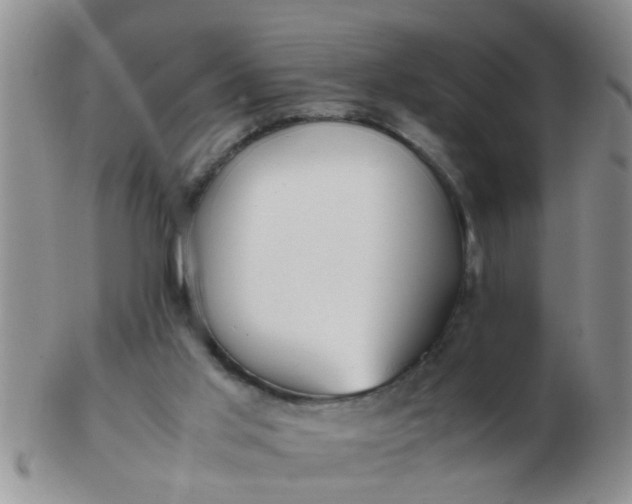 X0000103310013200809122102