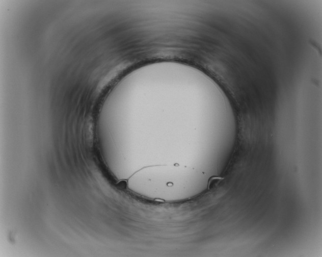 X0000103310016200809122102