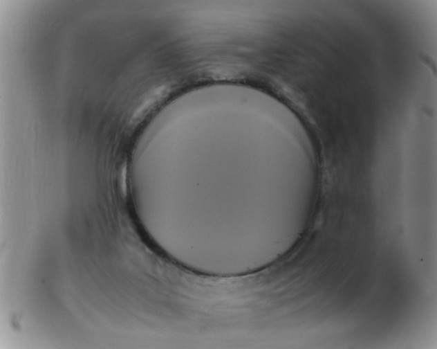 X0000103310019200809122101