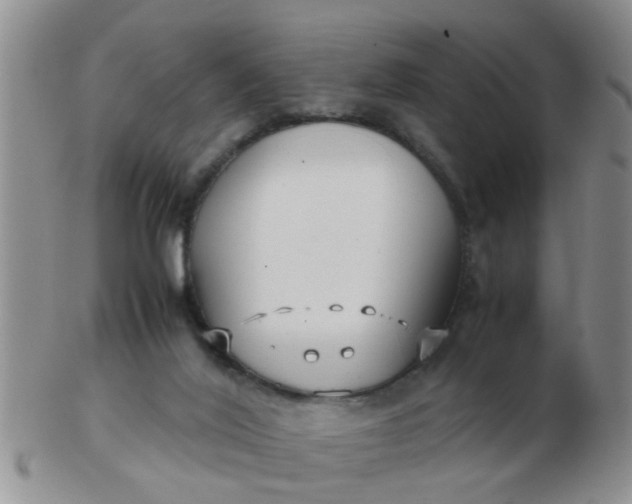 X0000103310020200809122101
