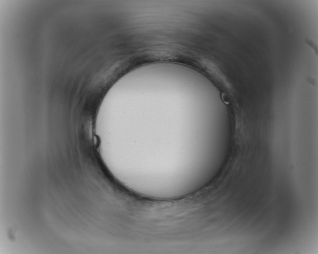 X0000103310021200809122101