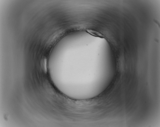 X0000103310022200809122101