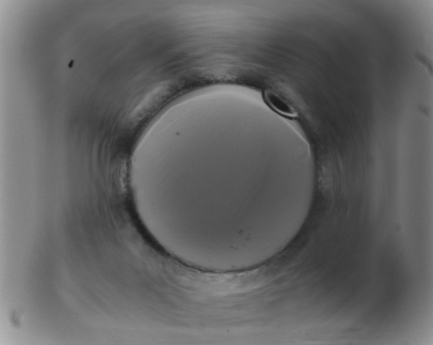 X0000103310023200809122101