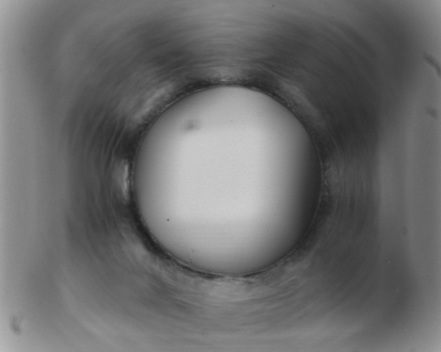 X0000103310024200809122101