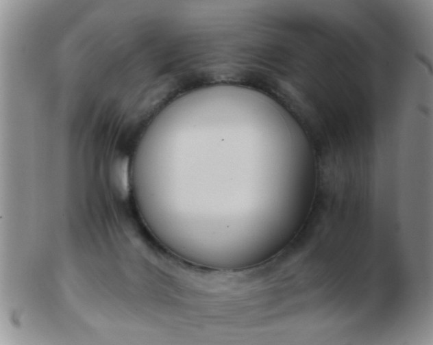 X0000103310028200809122101