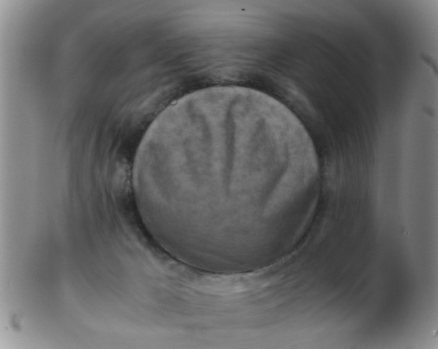 X0000103310029200809122101