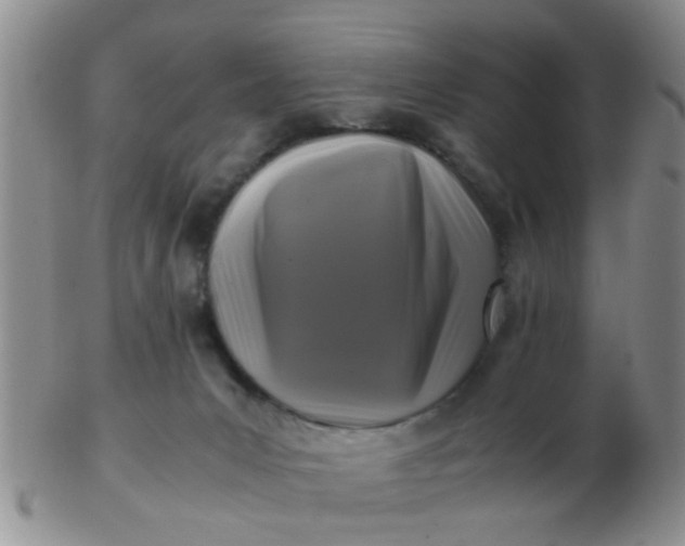 X0000103310031200809122101