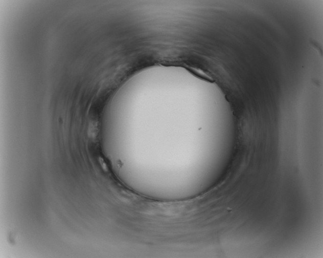 X0000103310033200809122101