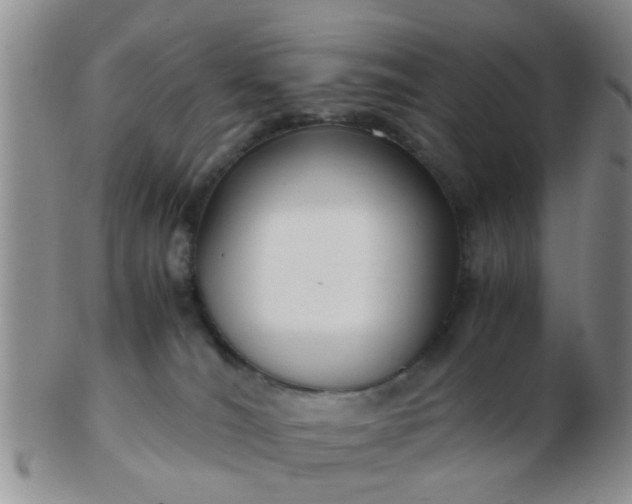 X0000103310036200809122101