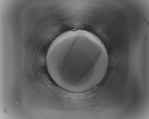 X0000103310039200809122101