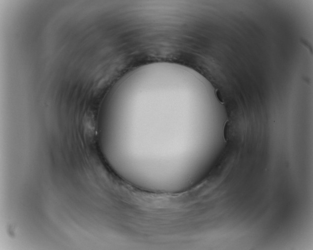 X0000103310040200809122101