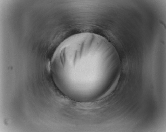 X0000103310041200809122101