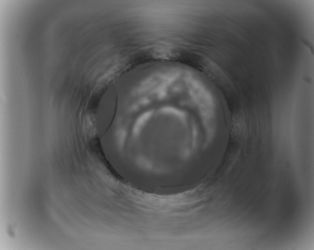 X0000103310043200809122101