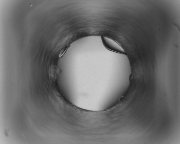 X0000103310044200809122101