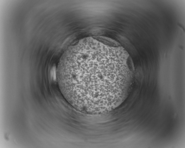 X0000103310046200809122101