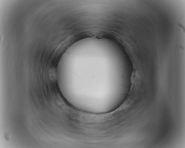 X0000103310048200809122101