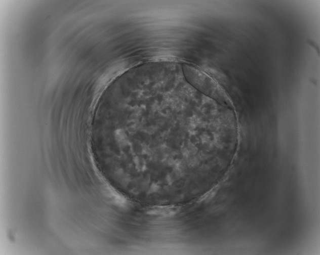X0000103310049200809122100