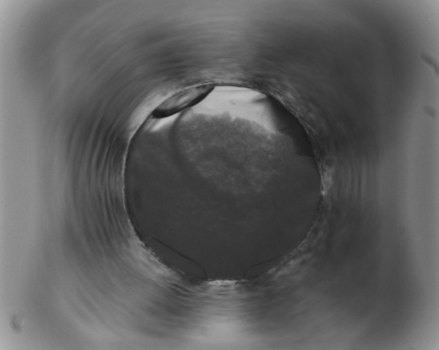 X0000103310052200809122100