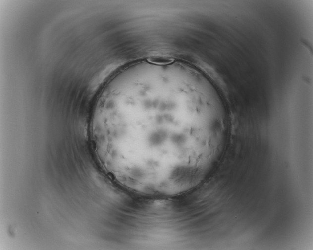 X0000103310060200809122101