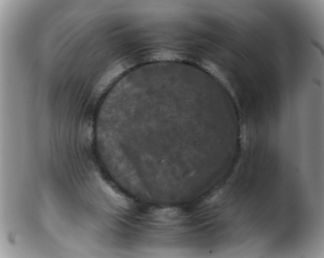 X0000103310063200809122101
