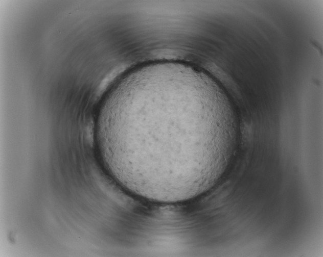 X0000103310064200809122101