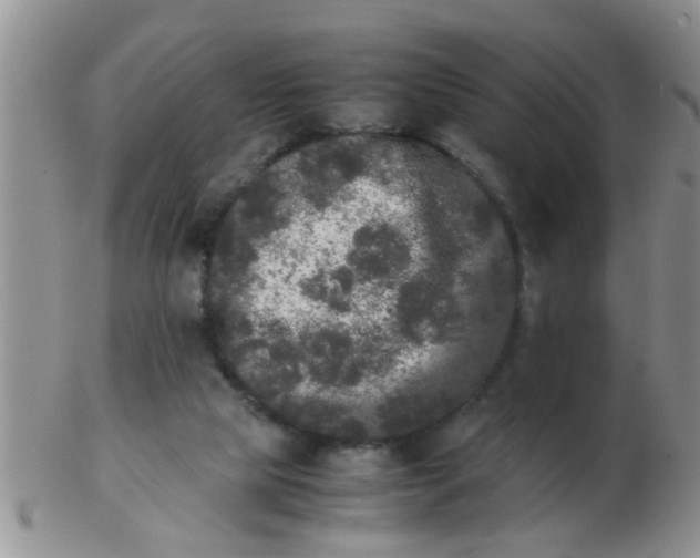 X0000103310065200809122101