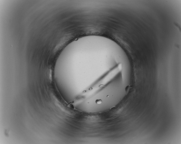 X0000103310067200809122101