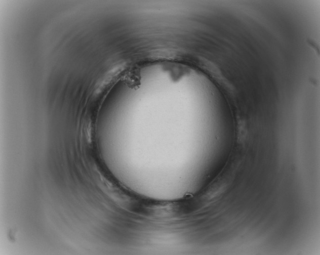X0000103310068200809122101