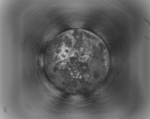 X0000103310069200809122101