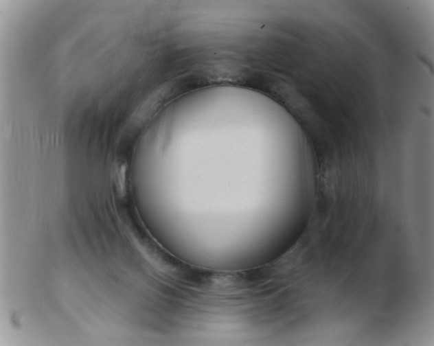 X0000103310070200809122101