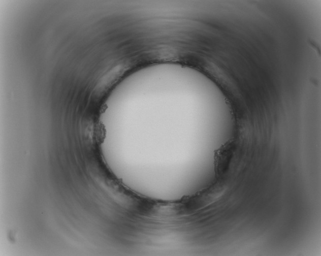X0000103310072200809122101
