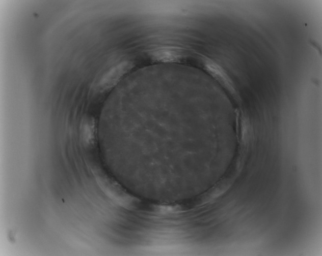 X0000103310073200809122101