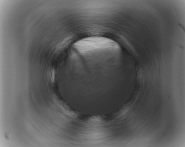 X0000103310076200809122101